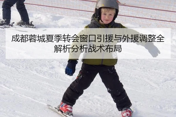 成都蓉城夏季转会窗口引援与外援调整全解析分析战术布局